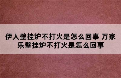 伊人壁挂炉不打火是怎么回事 万家乐壁挂炉不打火是怎么回事